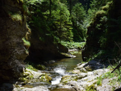 Želary