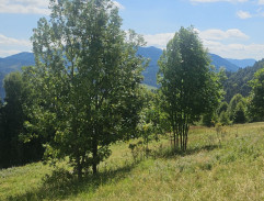 Želary