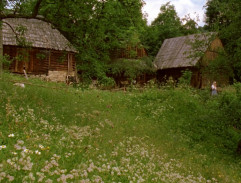 Želary