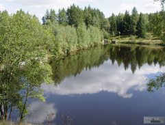 rybník u kterého pracují dřevorubci