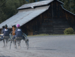 Závodiště v Chuchli II