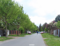 Hledání klientů jasnovidky