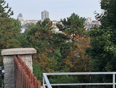 7. Šikana