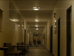 1. Stín kapradiny