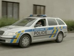Policejní auto
