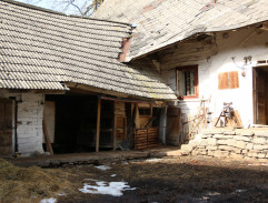 8. Zpěvačka