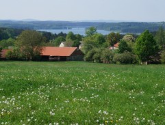 Pálení čarodějnic