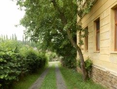 Bezva ženská na krku