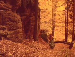 Zlatý kolovrat - Dornička v lese