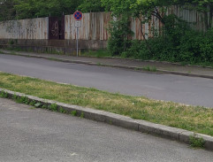 Sražení autem