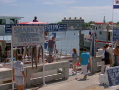 Přístav - Sharkyho člun