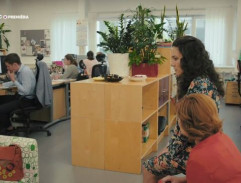 S03E03 Včely a Nový Zéland