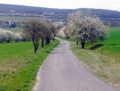 Stopař Vágner