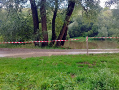 5. Denár v dívčí dlani (1/2)