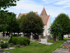 Hřbitov v Albrechticích