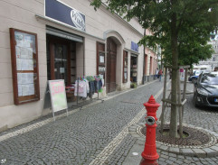 7. Vražda u plavebního kanálu