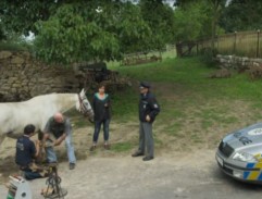 8. Žena, která odešla před obědem