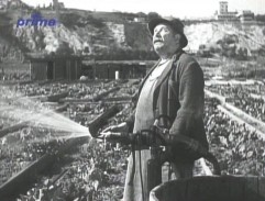 Barrandovské skály