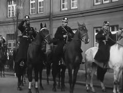 Policajti na koních