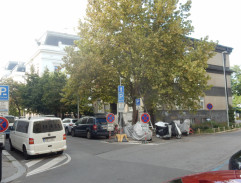 Čekačka