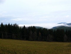Cesta
