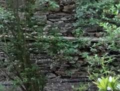 Vosák u zámecké zdi