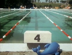 Bazén s maskotem delfína