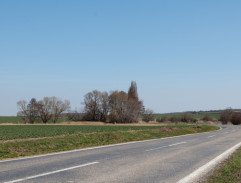 Cesta