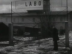Labora