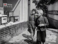 Králíci ve vysoké trávě