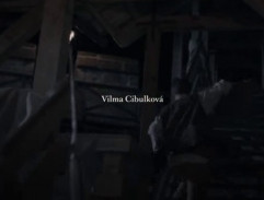 Dřevěné schodiště