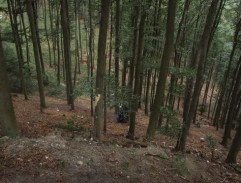 miesto Palčekovej smrti