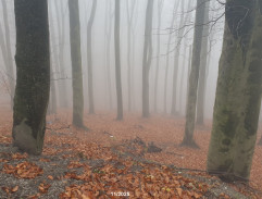 miesto Palčekovej smrti