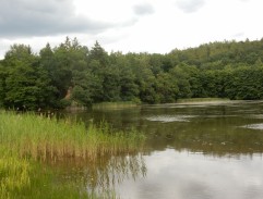 Rybník Křivonoska 2
