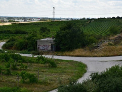 cesta vo vinohrade
