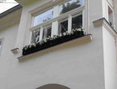 Prokuristove služobníctvo pozerá na pochod oficierov