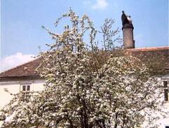 Pivovar