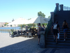 Vina Vladimíra Olmera