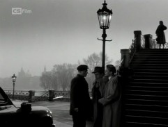 Vina Vladimíra Olmera