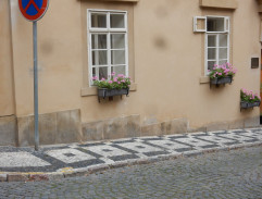 Tanečnice
