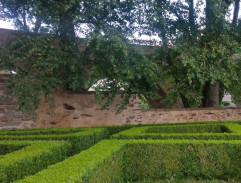 V zámecké zahradě