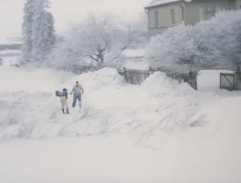 Lidé prohrnují sníh