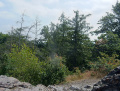 Vašátko na skále II