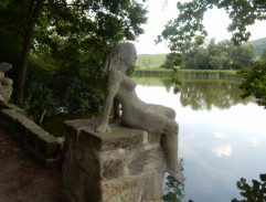 Případ dvou manželek