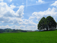 František hledá Valentu