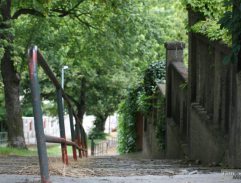 Kraus jde do školy
