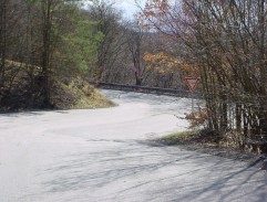 Údolí krásných žab