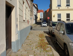 Anežka jde k mámě