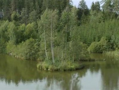 Pohled na chatu se srubem