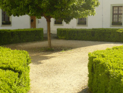 Na zahrádce restaurace